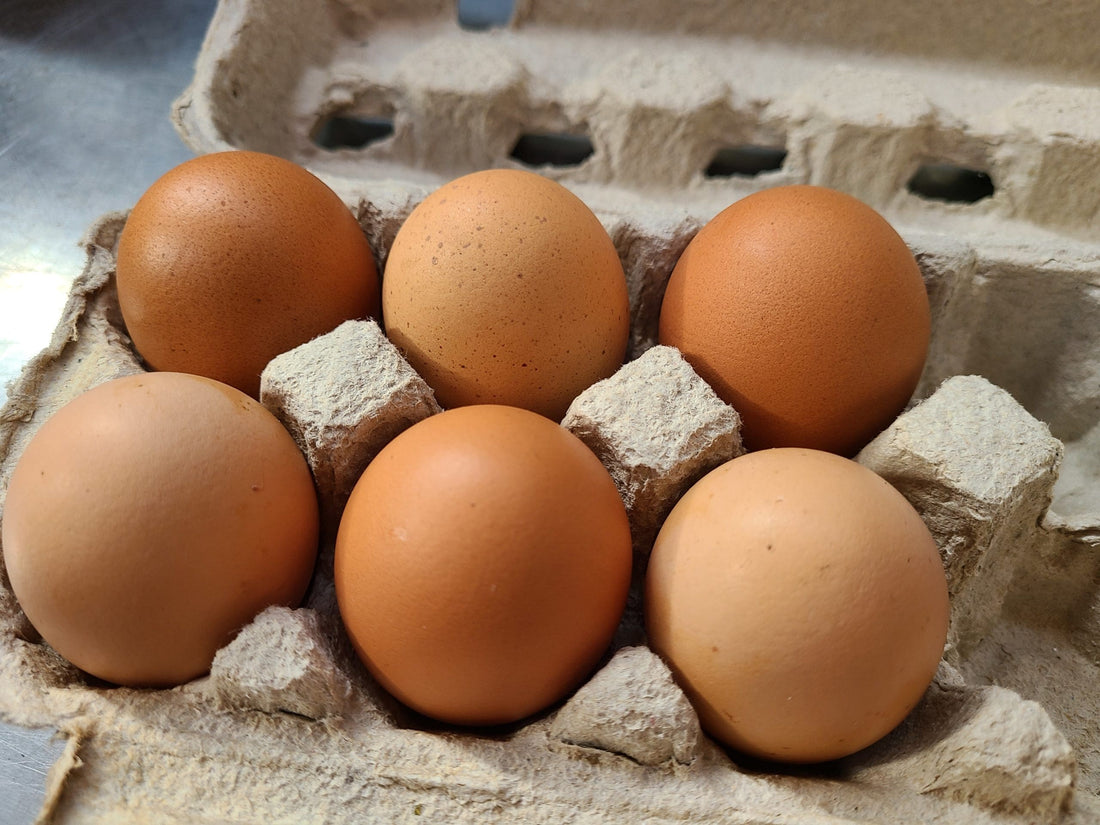 The Truth About Organic Eggs: What You Need to Know