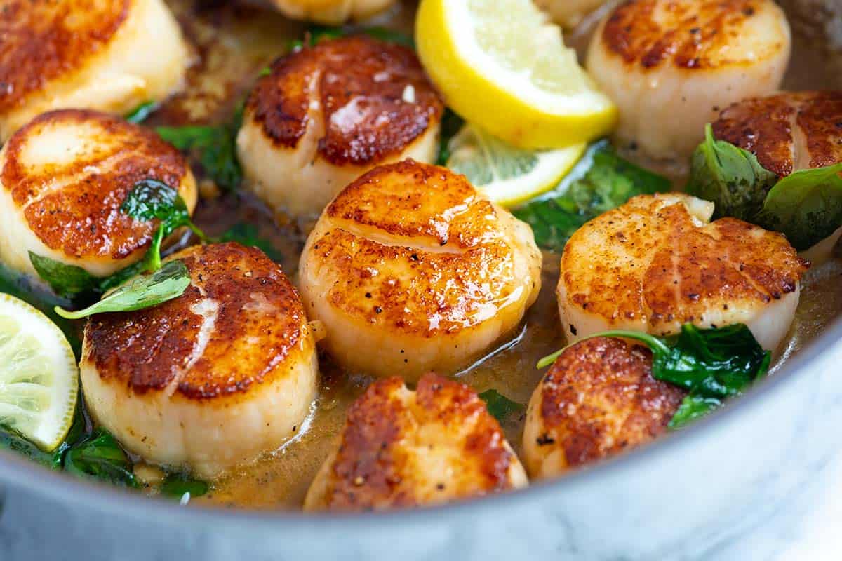 The Delicious World of Wild Scallops: Origins and Ways to Enjoy Them ...